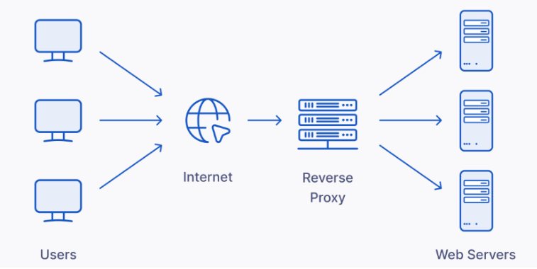 Reverse Proxy Function Explained Picture